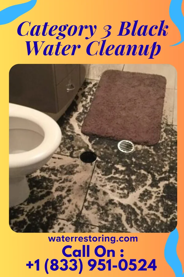 Category 3 Black Water Cleanup in Bryant, OK