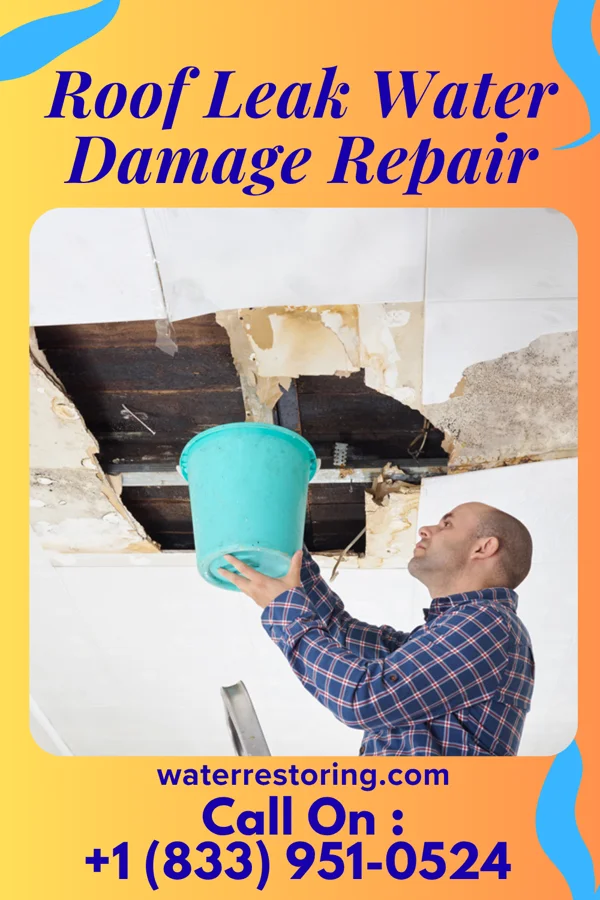 Roof Leak Water Damage Repair in Bryant, OK