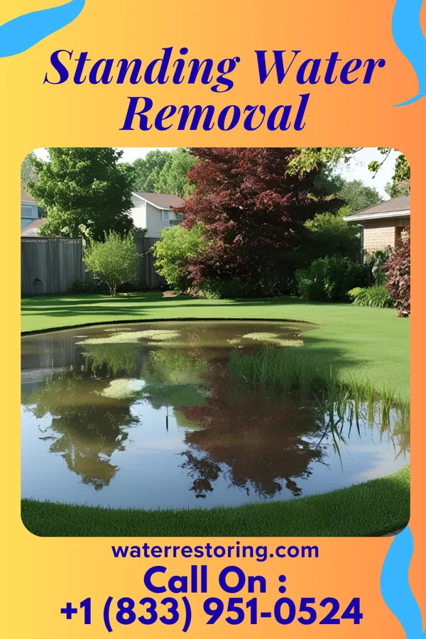 Standing Water Removal in Bryant, OK